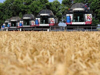 Снижение урожайности и рост цен: экономист указал на риски запрета на экспорт зерновых