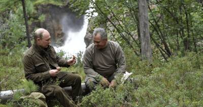 Путин и Шойгу планируют вырубку и продажу украинского леса, — ГУР (фото)