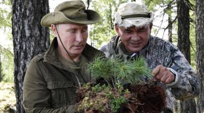 Россия планирует массовую вырубку и продажу украинского леса – разведка