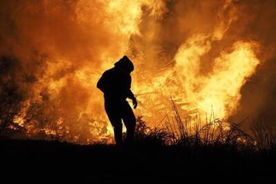 Житель Иркутской области сжег тещу за разрушение семьи