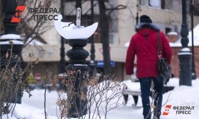 В Екатеринбурге квартальных инспекторов наделят властью наказывать вандалов