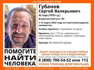 Элизабет Алерт - Во Всеволожском районе без вести пропал 42-летний мужчина - ivbg.ru - Украина - Ленобласть