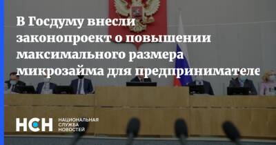 В Госдуму внесли законопроект о повышении максимального размера микрозайма для предпринимателей