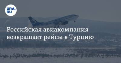 Российская авиакомпания возвращает рейсы в Турцию