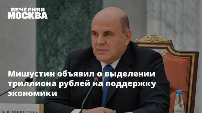 Мишустин объявил о выделении триллиона рублей на поддержку экономики