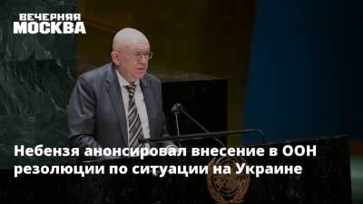 Небензя анонсировал внесение в ООН резолюции по ситуации на Украине
