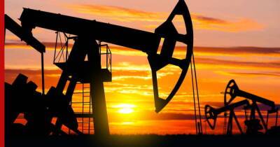 ОПЕК сохранила прогноз по добыче нефти и конденсата в России в 2022 году