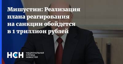 Мишустин: Реализация плана реагирования на санкции обойдется в 1 триллион рублей
