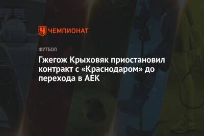 Гжегож Крыховяк приостановил контракт с «Краснодаром» до перехода в АЕК