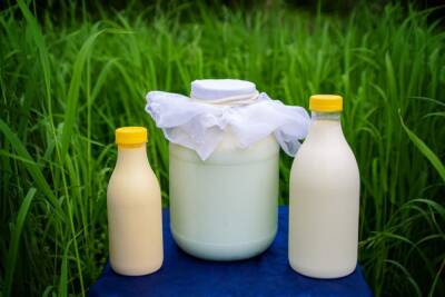Российские производители сообщили о сокращении поставок молочной продукции