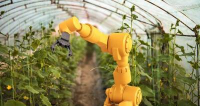 Какими рисками грозит внедрение искусственного интеллекта в сельском хозяйстве