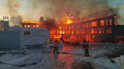 Под Новосибирском сгорела база отдыха за 100 млн рублей