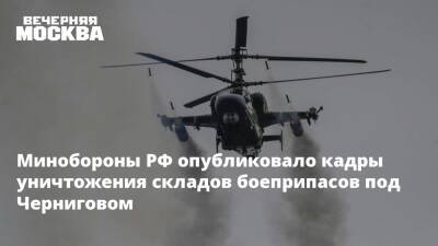 Минобороны РФ опубликовало кадры уничтожения складов боеприпасов под Черниговом