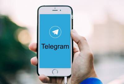 С начала года работодатели из Петербурга увеличили количество требований к работе в Telegram