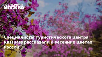 Специалисты туристического центра Russpass рассказали о весенних цветах России