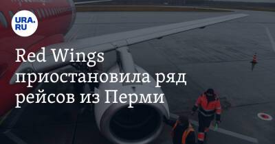 Red Wings приостановила ряд рейсов из Перми