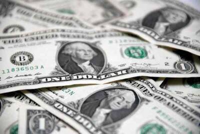 Эксперт Аверс объяснила, зачем США запретили поставлять России долларовые купюры