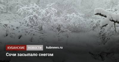 Сочи засыпало снегом - kubnews.ru - Сочи - Краснодарский край - Сочи