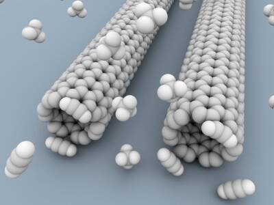 Новый биоматериал на основе полимера и нанотрубок можно использовать для искусственных сердечных клапанов