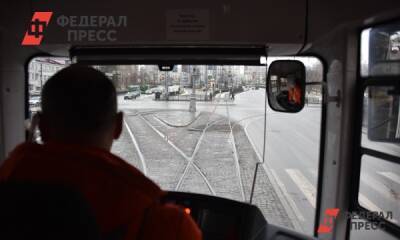 Полина Зиновьева - Передачу екатеринбургских трамваев в частные руки отложили из-за кризиса - fedpress.ru - Екатеринбург