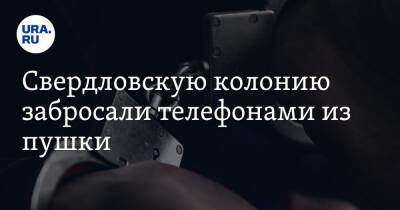 Александр Левченко - Свердловскую колонию забросали телефонами из пушки. Фото, видео - ura.news - Россия - Екатеринбург - Свердловская обл.