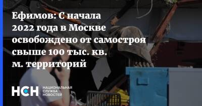 Ефимов: С начала 2022 года в Москве освобождено от самостроя свыше 100 тыс. кв. м. территорий