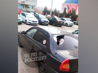 Фашисты атаковали легковой автомобиль в Ростове-на-Дону на Извилистой