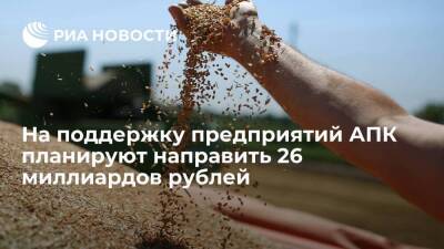 Правительство планирует направить 26 миллиардов рублей на поддержку предприятий АПК