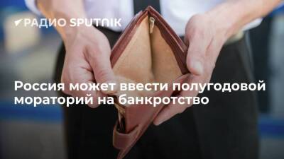 В России могут временно запретить банкротство граждан и организаций