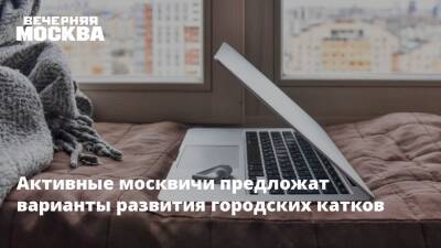 Активные москвичи предложат варианты развития городских катков