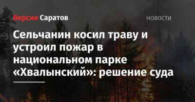 Сельчанин косил траву и устроил пожар в национальном парке «Хвалынский»: решение суда