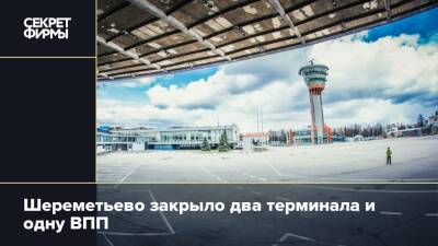 Шереметьево закрыло два терминала и одну ВПП - secretmag.ru