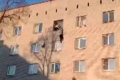Женщина разбилась при падении из окна общежития в Новосибирске