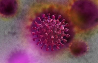 Обнаружен новый вариант коронавируса