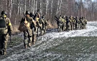 Бойцы ТРО получат статус участников боевых действий: названы условия