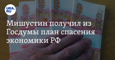 Мишустин получил из Госдумы план спасения экономики РФ. В списке льготы по налогам и кредитам