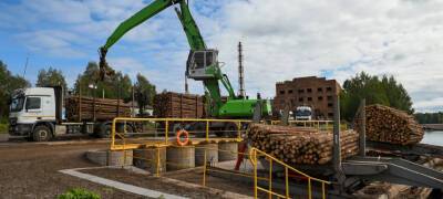Западные санкции повлияли на большинство промышленных предприятий Карелии