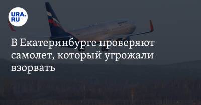 В Екатеринбурге проверяют самолет, который угрожали взорвать. Фото