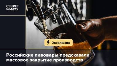 Российские пивовары предсказали массовое закрытие производств