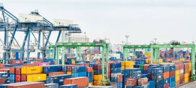 Родионов назвал условие быстрой переориентации карельского экспорта на азиатские рынки