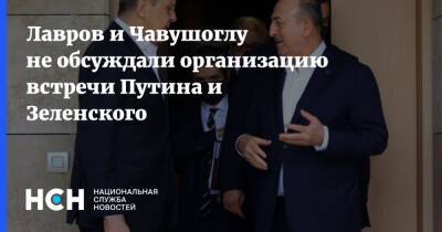 Лавров и Чавушоглу не обсуждали организацию встречи Путина и Зеленского