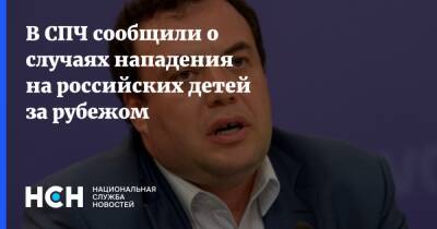 Александр Брод - В СПЧ сообщили о случаях нападения на российских детей за рубежом - nsn.fm - Россия - Украина