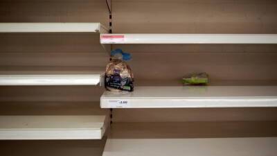 В странах Прибалтики начался продовольственный кризис