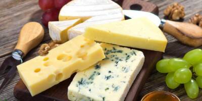 Калужская сыроварня готова заменить импортный сыр