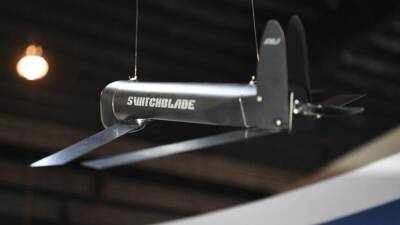 США могут предоставить Украине дроны-камикадзе Switchblade, - СМИ