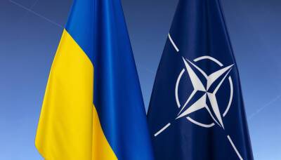 Уоллес заявил, что НАТО продолжит поставлять оружие на Украину