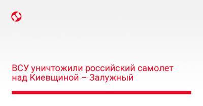 ВСУ уничтожили российский самолет над Киевщиной – Залужный