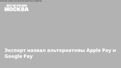 Михаил Беляев - Егор Клопенко - Эксперт назвал альтернативы Apple Pay и Google Pay - vm.ru - Россия