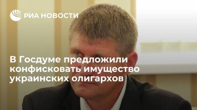 Депутат Госдумы от Крыма Шеремет предложил конфисковать имущество украинских олигархов