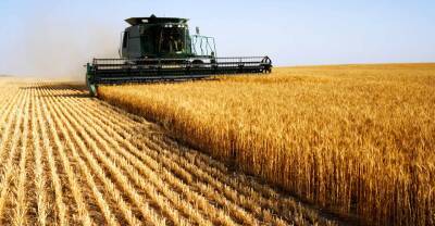 Світовий банк попередив про дефіцит зерна в ряді країн через війну в Україні